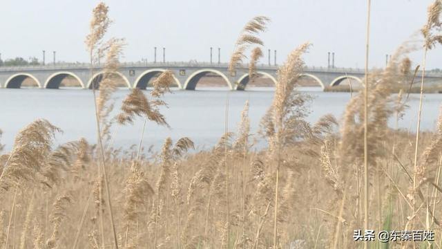 渭南旅游景点排名前十，渭南旅游必去十大旅游景点（陕西省9个知名度不高）