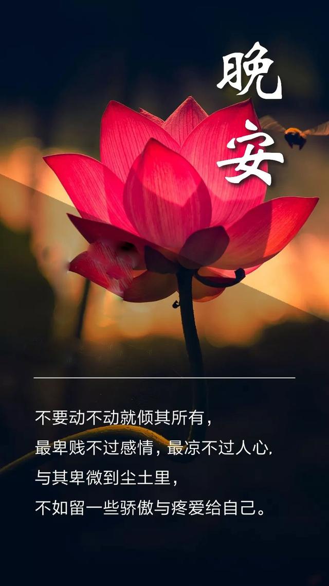 晚安心语181219：和对的人恋爱的感觉，就是舒服