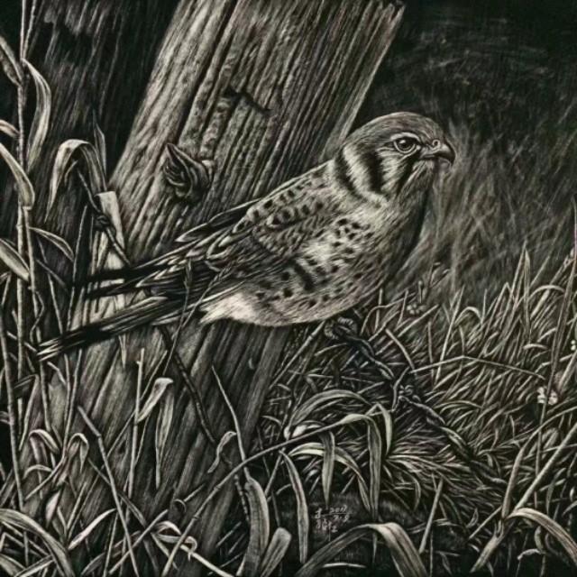 刮刮画作品大赏，刮画被他玩到极致
