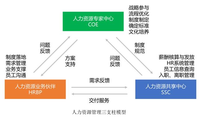 人力资源分析七大支柱，人力资源管理三支柱模型