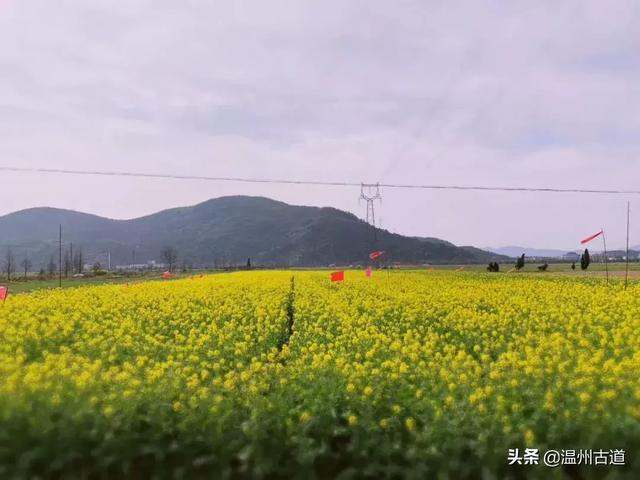 瑞安附近景点一日游好去处，温州十大避暑旅游景点