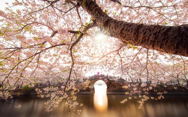 3月旅游的最佳地点，3月去什么地方旅游最好呢（三月份旅游一定要去的六个地方）