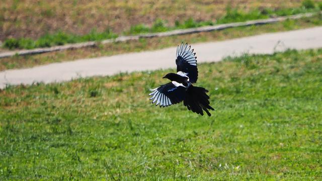 奥林巴斯em1，奥林巴斯em1mark3测评
