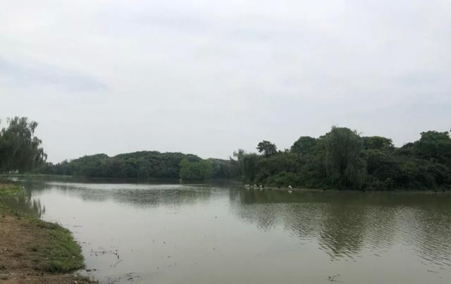 阜阳有什么好玩的地方景点，阜阳推荐旅游景点