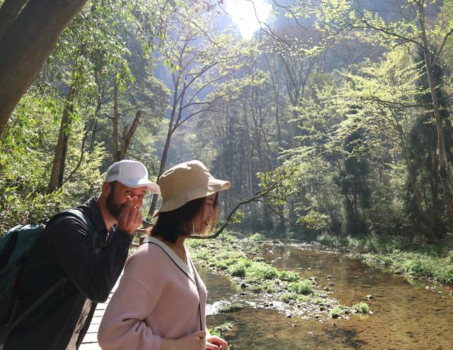 张家界一日游旅游详细攻略，张家界最好的几个景区