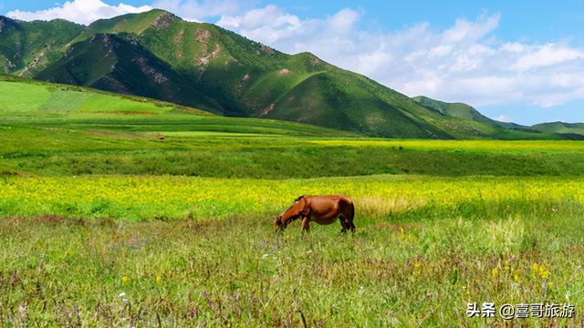 张掖旅游景点排名，张掖旅游景点自驾游