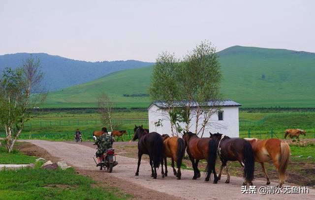 京北第一天路草原最佳游览，你在千松坝御风自驾