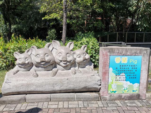 广州动物园游玩攻略，广州动物园玩转攻略（广州五一出行旅游攻略之广州动物园）