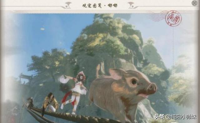 剑网三宠物游历图鉴，剑网3版旅行的青蛙