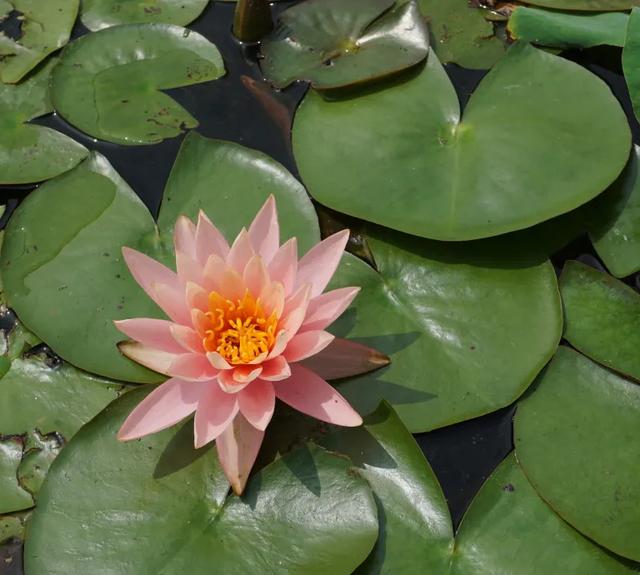 北京必玩景点排名，北京必玩的十个景点排名榜单（北京最值得去的12个景区）