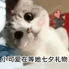 七夕即将来临，女朋友的礼物准备好了吗？ 圣诞节送女朋友什么礼物