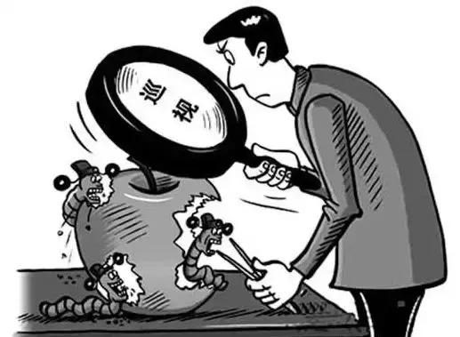 巡视，巡视组巡察什么内容