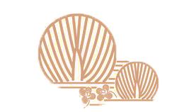 贵州黄果树瀑布，贵州的旅游景点黄果树瀑布（5A景点贵州黄果树瀑布三天两晚旅游全攻略）