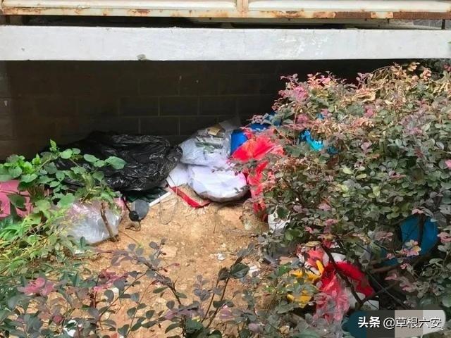 六安小区房价排名，六安这4个楼盘有点厉害