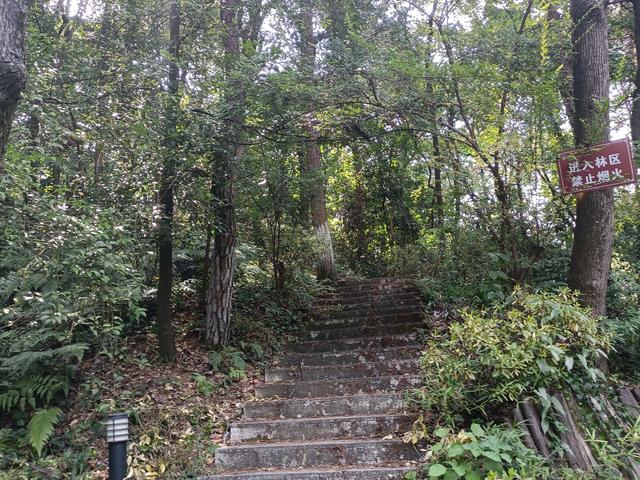 长沙市内十大公园，长沙本地人告诉你这10个地方不能少