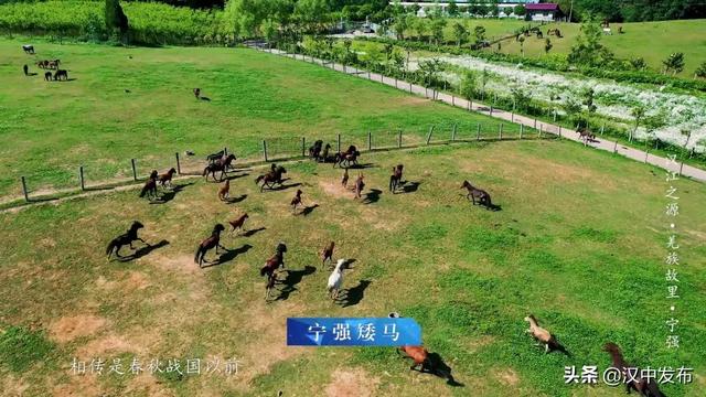 汉江文化旅游城，三千里汉江第一城