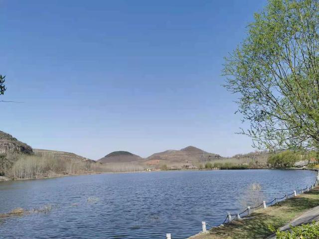 清明适合赏花的地方，纷纷春雨过后是最美人间四月天