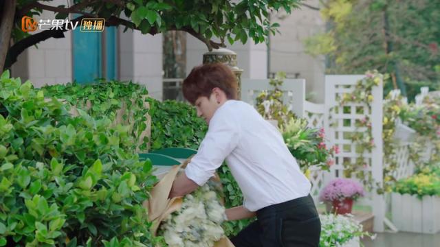 十部熬夜必看高甜宠剧排行榜，推荐这部适合周末追的甜宠剧