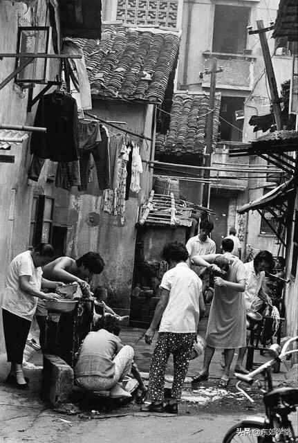 310开头的身份证，这些事你应该还记得（身份证号310开头的是哪个地方）