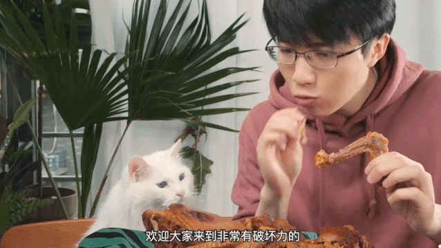 （15个值得收藏的吃播美食up主大推荐