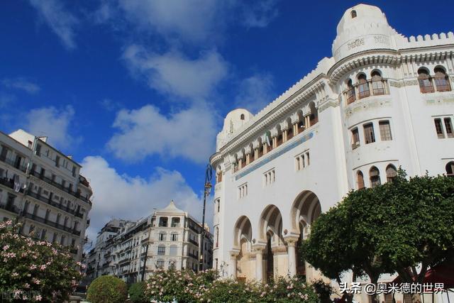 非洲最大的国家，非洲中部最大的国家