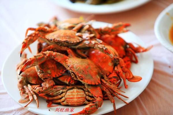 去大连赶海玩的攻略，东北大连哈仙岛