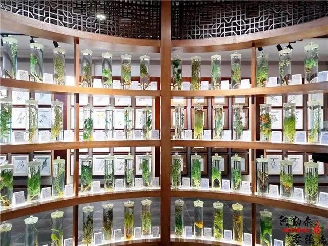阿勒泰的小众景点，阿勒泰市16个赞不绝口打卡地