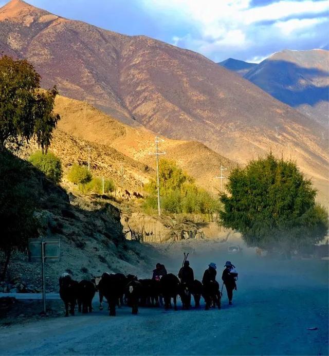 山南旅游景点大全，山南旅游最美景点