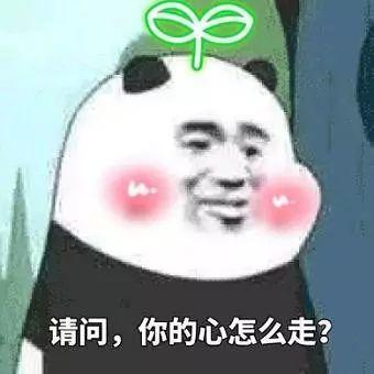 一步一步教你学化妆，零基础都可以学会的化妆教程（手把手教你画简单精致的日常妆）