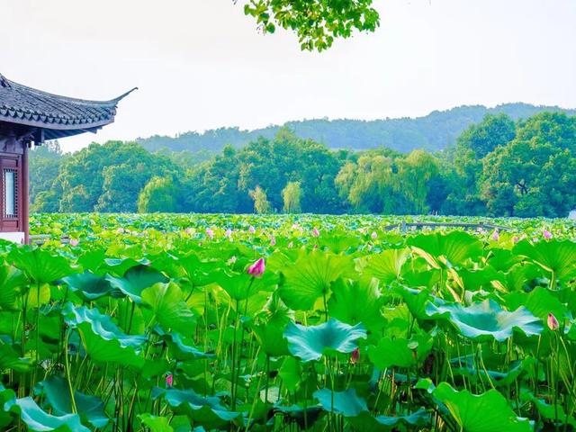 杭州有什么玩的，杭州游玩必去20大景点