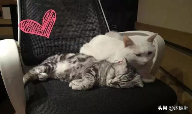 降噪麦克风开孔有什么用，声学多重要