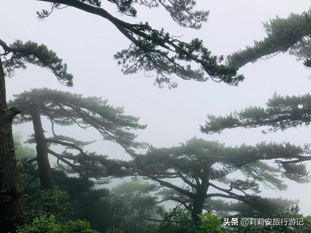 徒步南迦巴瓦峰最佳观景台，雾中徒步薄刀峰