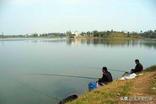 钓鲤鱼浮漂调漂技巧，浮漂应该这样调