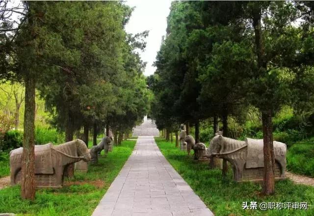 8.4号南京免费开放的景点，南京有这11家景点限时免费开放