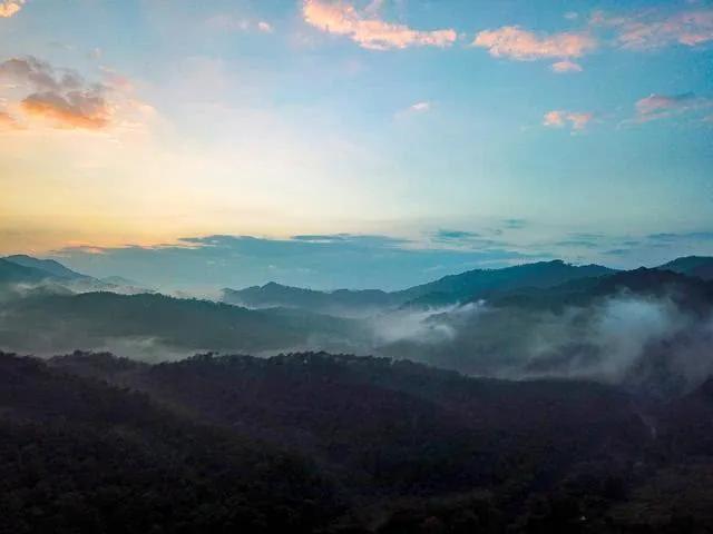 十万大山在哪里，广西十万大山指的是哪里（十万大山）