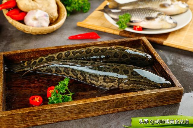 鱼刺少的鱼都有哪些，便宜实惠没有鱼刺的鱼（老渔民专买这3种鱼）