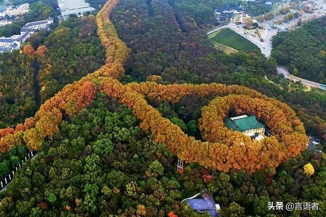 南京十大景点排名，是外地游客比较熟悉的