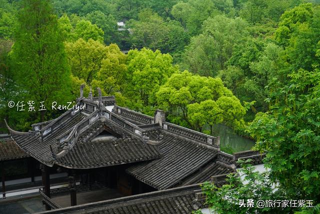 杭州西溪湿地旅游建议，湿地之美丨杭州西溪湿地