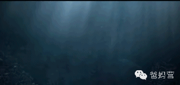 环球影城大酒店，环球影城北京都有什么玩的