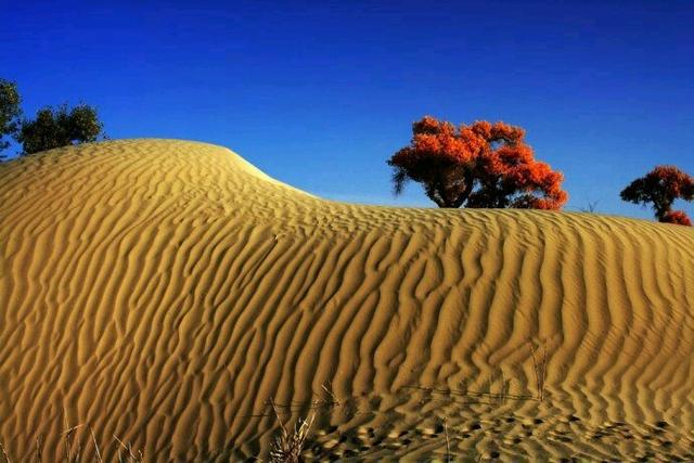 怎样不晕车小妙招，15个小妙方保您旅途一路顺风不再晕车（如何不晕车小妙招）