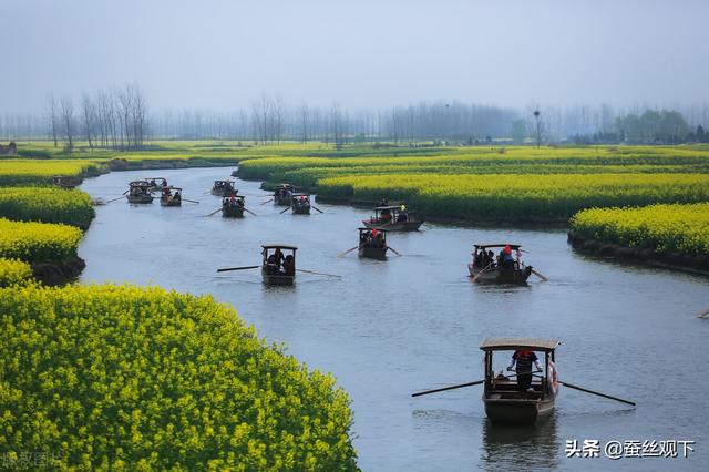 浙江省兴化市，江苏泰州兴化