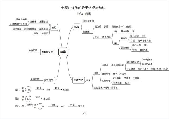 高中生物必修一思维导图，高中生物必修一全部思维导图（高中生物必修1思维导图）