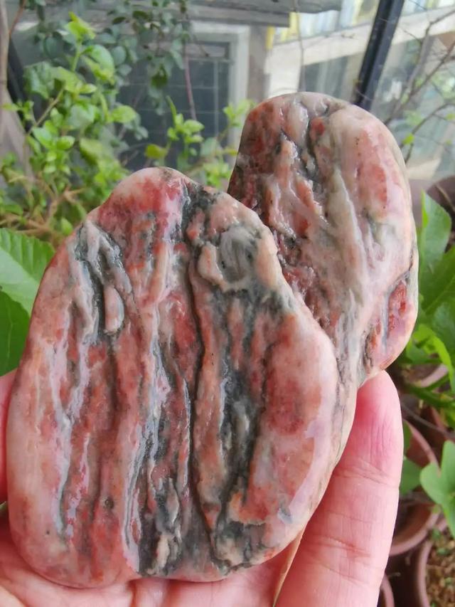 山水石盆景制作图解，将大自然景象融入盆景