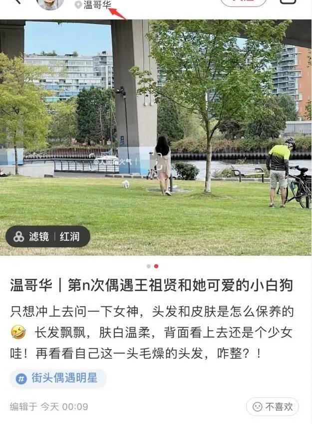 王祖贤现状如何，42岁王祖贤现状（王祖贤长居加拿大生活朴素）