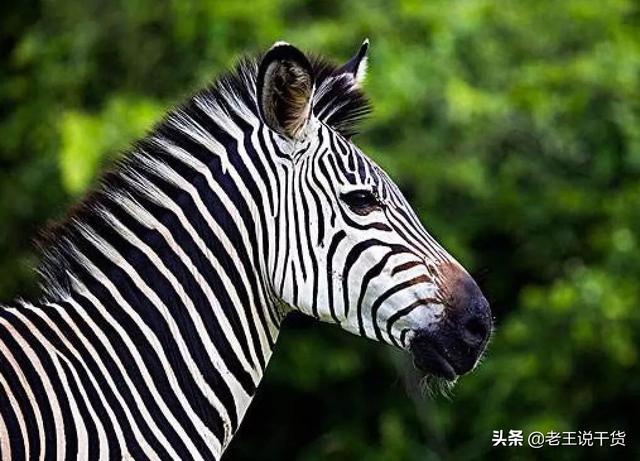 汽车互联网车机有什么用，车机弹窗，揭示智能化的双刃剑