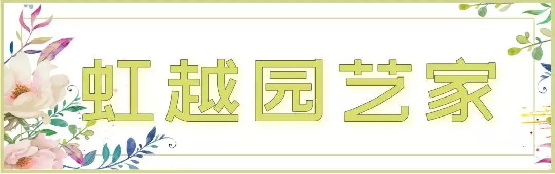 园艺批发市场，这个园艺市场本周末放大招