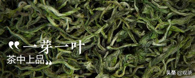 黄金茶的历史渊源，湘西黄金茶到底是什么茶