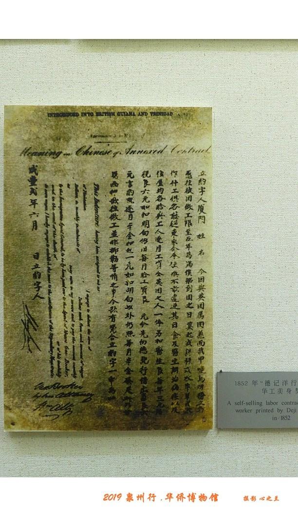 泉州这座博物馆满城皆是宝藏，山海画廊人间福地