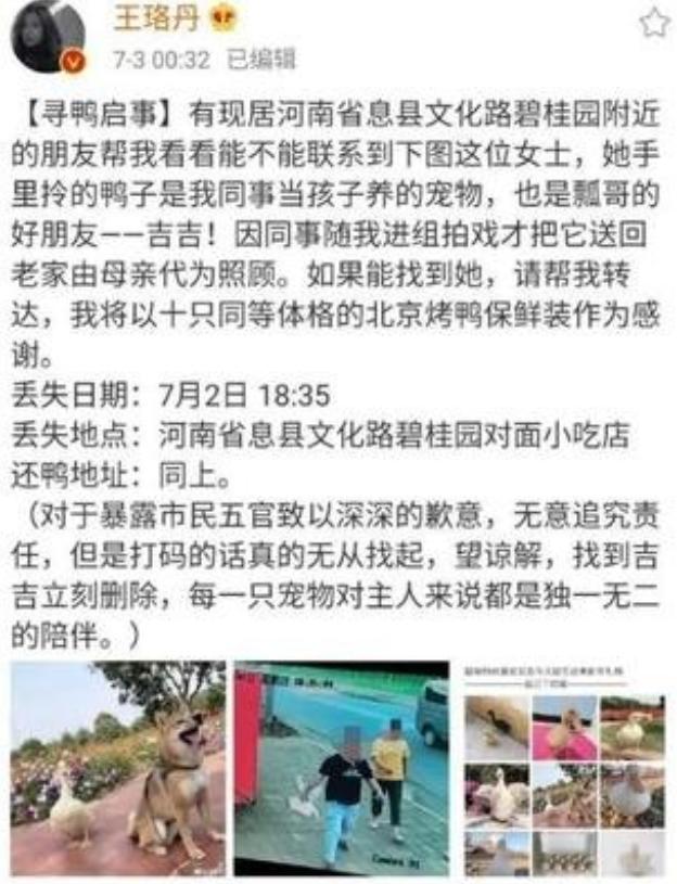 找鴨才上熱搜，自嘲不紅遇冷，王珞丹的出路在哪裡？ 娛樂八卦吃瓜 第9张