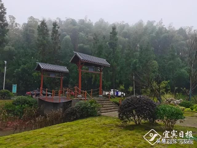 竹海生态旅游景区介绍，到绿水青山的蜀南竹海“走一遭”吧